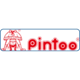 Pintoo